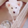 天使なきゅーちゃん✩.*˚