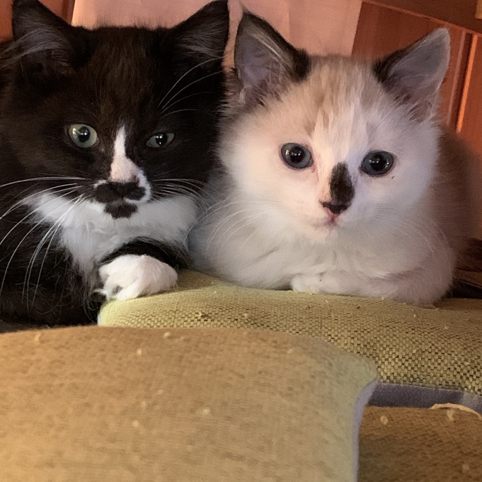 そらのカバー写真