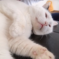 もう