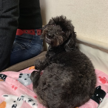 の写真