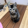 Htmtzkさん