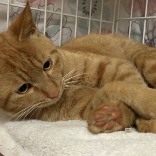 3兄弟☆公園じゃない僕の帰る場所、家族が出来たよ。