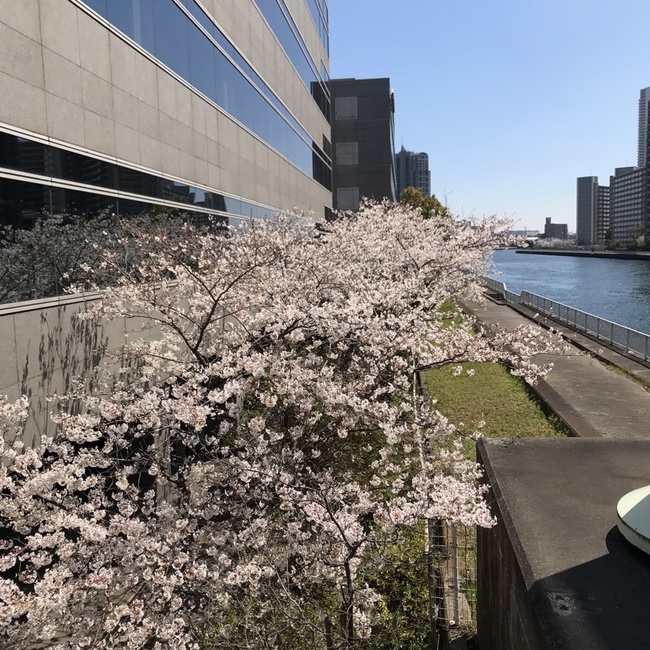 Yuchidaのカバー写真