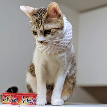 あったかマフラー