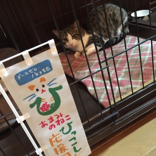 奄美大島からやって来た三太郎くん