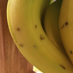 「トムさん、あなたじゃないよなｗ」サムネイル1