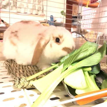 の写真