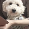 の写真