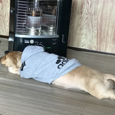 冬のストーブ最高だな……