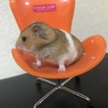 の写真