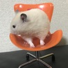 の写真
