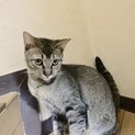 元気いっぱい 北九州市