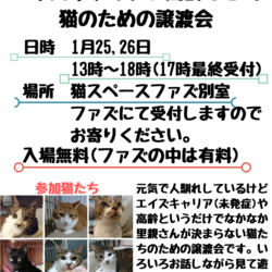 エイズキャリア、高齢などの猫たちに里親さんを！