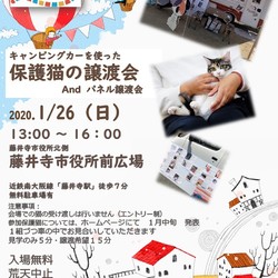 キャンピグカーを使った保護猫譲渡会