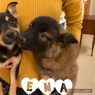 陽だまり感満載！　えなちゃん