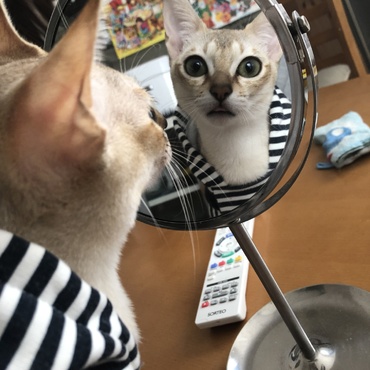 顔よし！