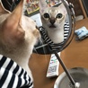 顔よし！