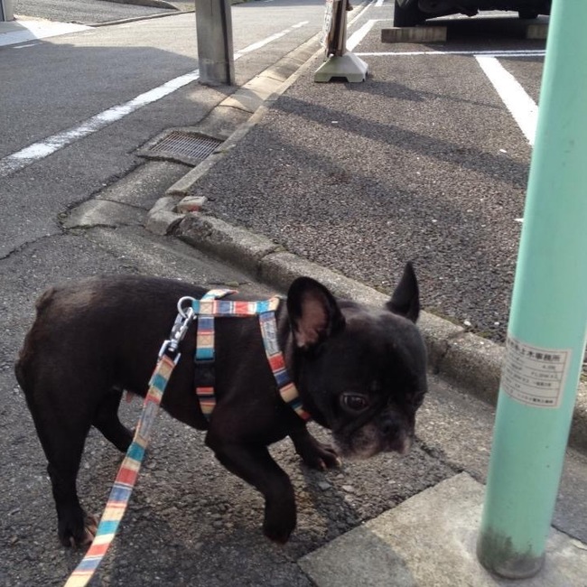 不動産屋さんのカバー写真