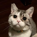 【募集一時停止中】たくみ君