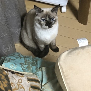 の写真