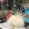 タケル