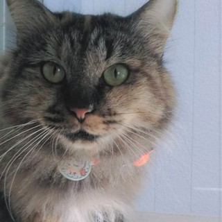 ゆったり女王様スタイル"にこり"です♡