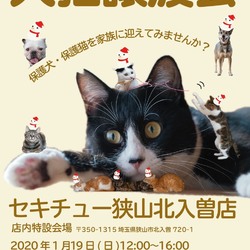 セキチュー狭山店犬猫譲渡会