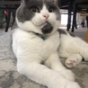 Suzie
