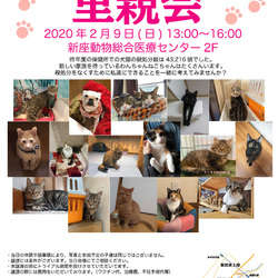 新座動物総合医療センター犬猫里親会
