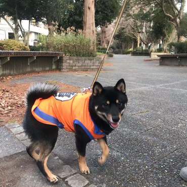 の写真