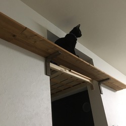 「てっちゃん、夜間工事のバイトしたい」サムネイル1