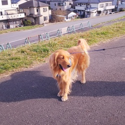 道満グリーンパークへ