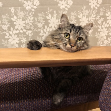 の写真
