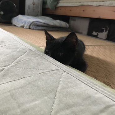 起きたら狙われてた