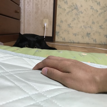 ぺったんこ