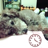 の写真