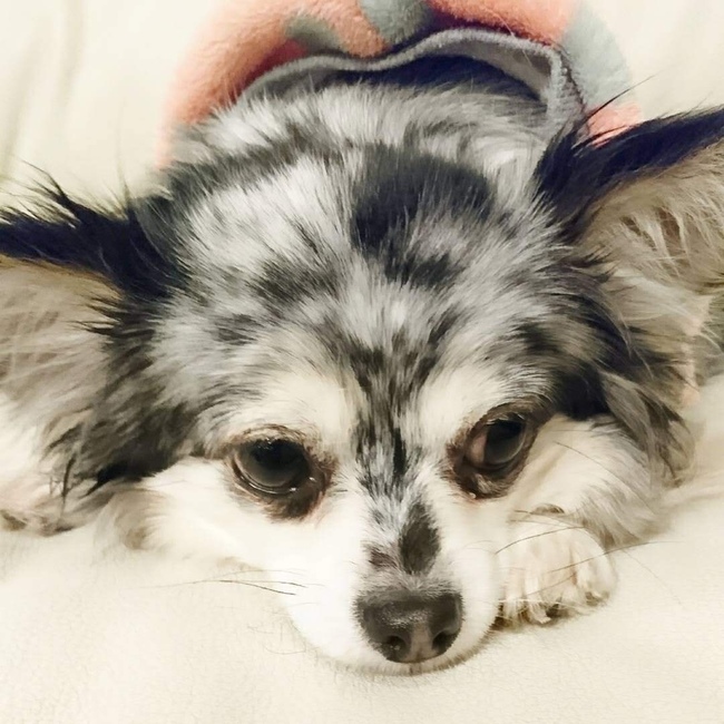 ツンツン２のカバー写真
