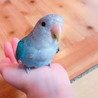 なぐさ