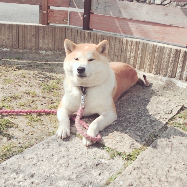なぐさのカバー写真