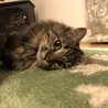 陽貴ママさん
