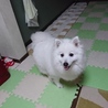 まっっー