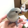 の写真