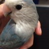 の写真