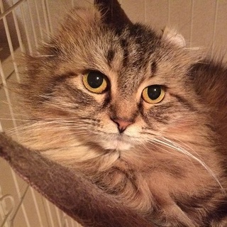 【1/19東銀座】カールちゃん2-3歳♪