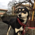家族ができました！！