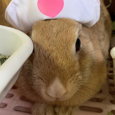 の写真