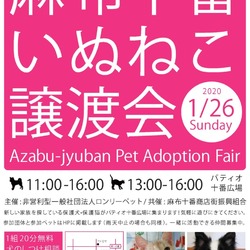 麻布十番いぬねこ譲渡会