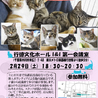 土曜の夜の保護猫譲渡会vol.2