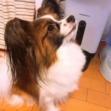 の写真