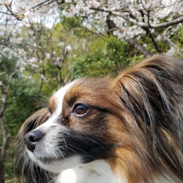 の写真